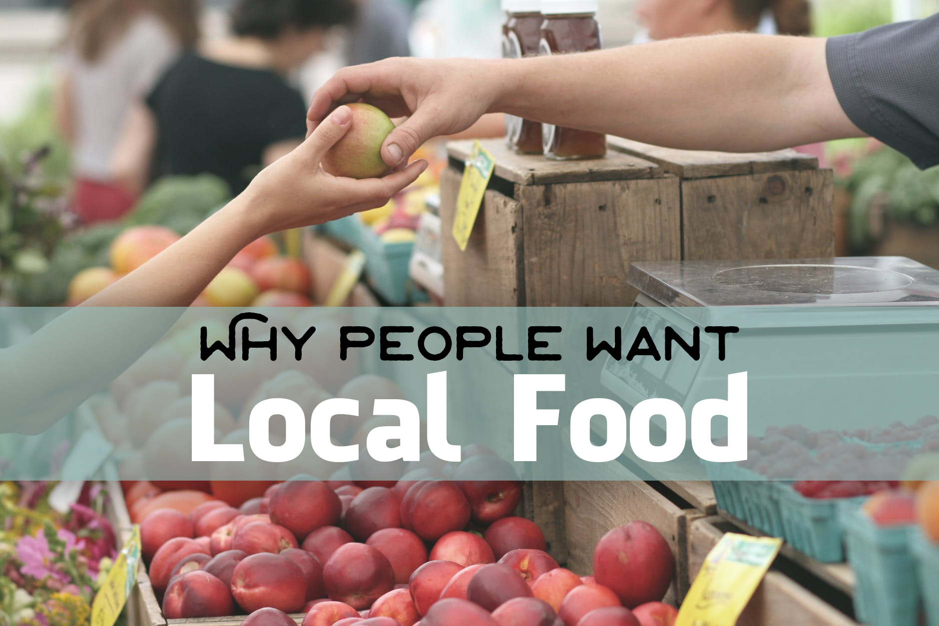 Locally Sourced Food Can Increase Restaurant Sales