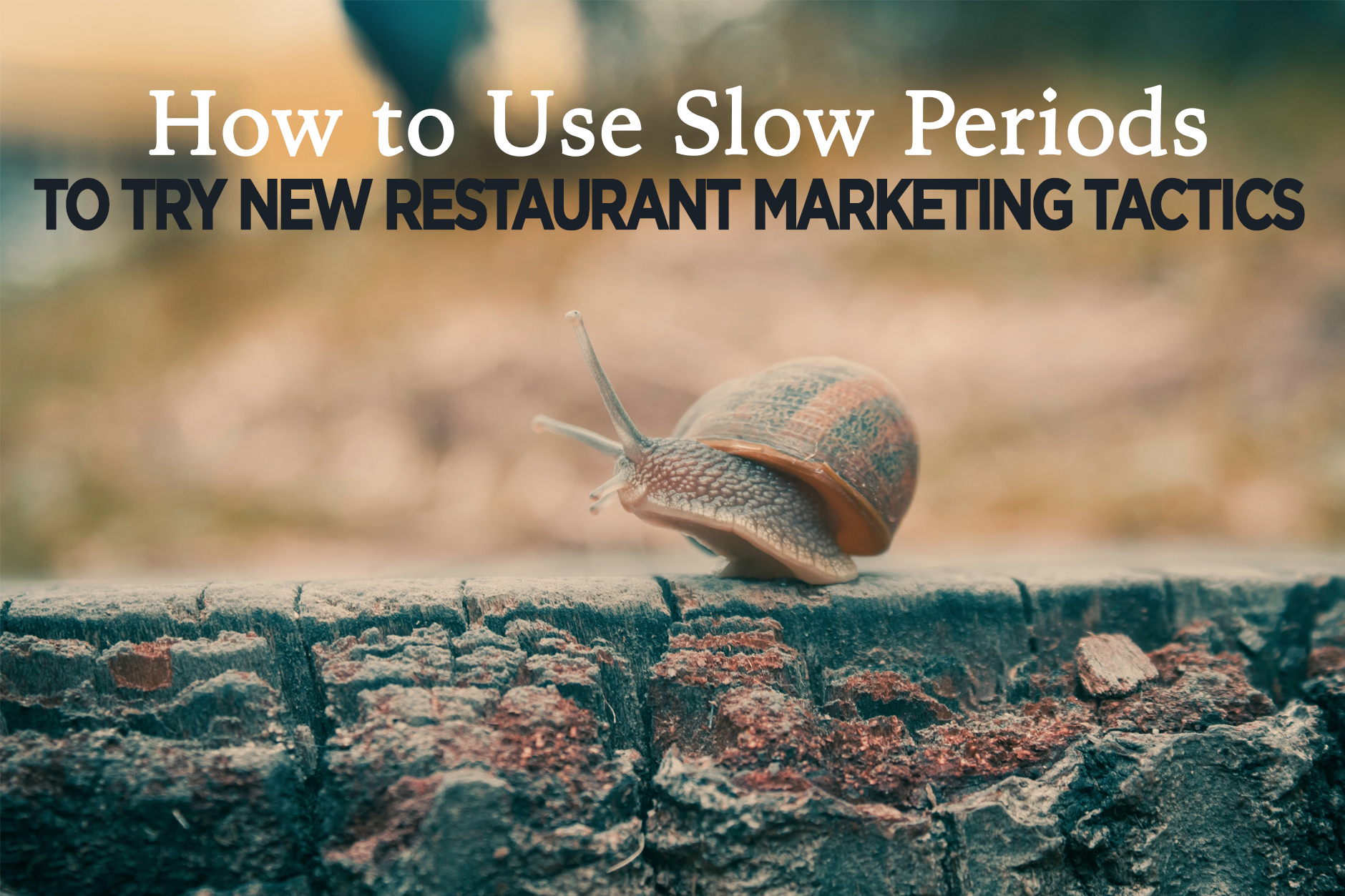 Restaurant Marketing Ideas:  Leveraging Slow Periods