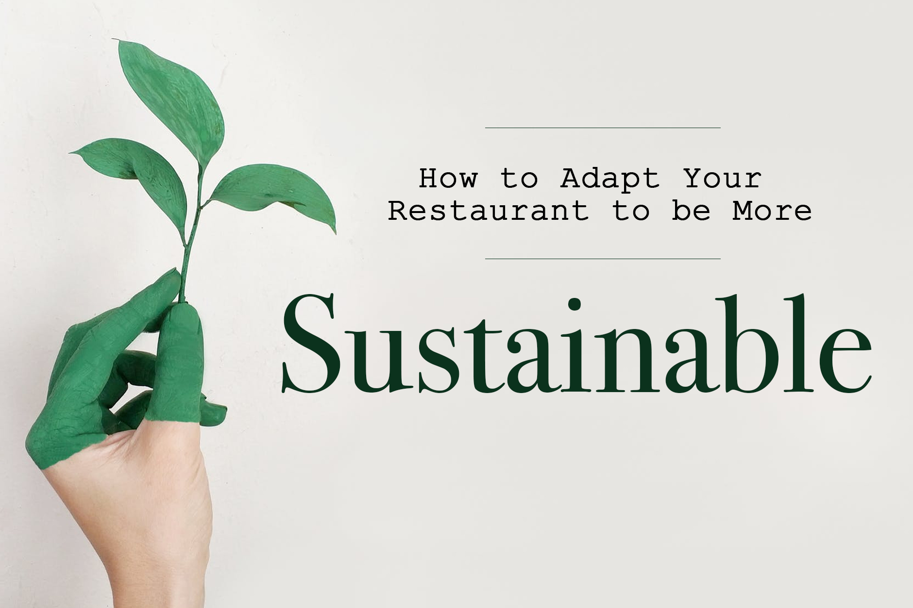 Sustainable Restaurants: Adapt To Be More Sustainable