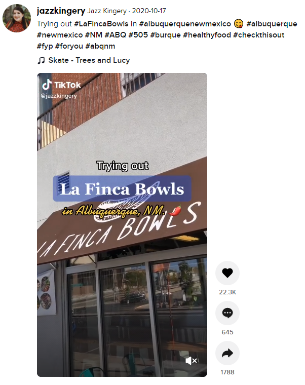 TikTok For Restaurants How To Go Viral NetWaiter
